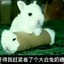 我爱喝酸奶