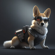 The Corgi's Avatar