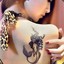 Feng Zi