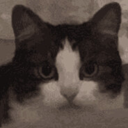 segl avatar