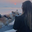 Corgi3Zz
