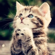 赢了我也请赢下生活喔