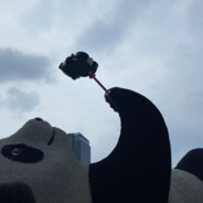 盗号的我操你的M