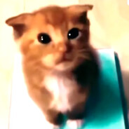 rossine do concordia