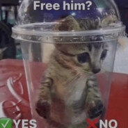 CheeseburgerSlut55(2)