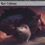Rat Colony