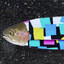 Pstrokaty pstrąg's avatar