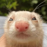 Erm what the smegma - steam id 76561198162054840