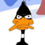 DaffyDuck