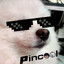 Pincool