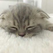 brainstorm666 - steam id 76561199742831210