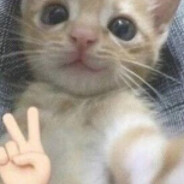 Бiргiр#BlazeRust