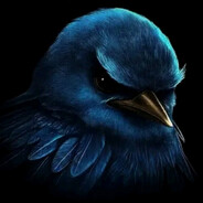Winner Avatar