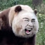 长歌