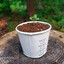 Dirtinacup