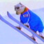 Ski