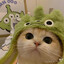 мой котик Esyash