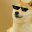 Stardoge