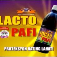 Lactopafi