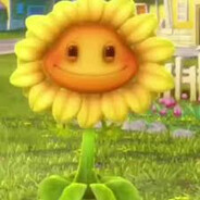 stoned sunflare