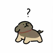 走大运的小鸡毛