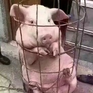 要不咱报警吧！