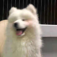 时过境迁她还好吗