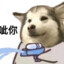 好多鱼
