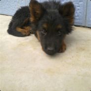 骄傲的人又很急性