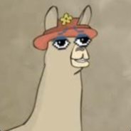 Paul the llama