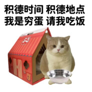 千奇百怪的猫