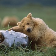 年少的我不懂事i