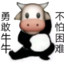 她说戴了不算给