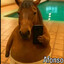 afonso horse
