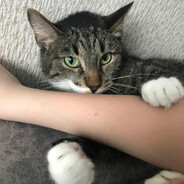 twitch: TinTV0 PROSTOJ