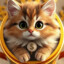 Cat-a$s-Tr0Phy