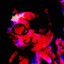 46ec3bdb2cdaf7f1e15b1db5b4b04a397666a95c medium