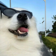 孤立无援的是我