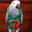 BirdInAShirt