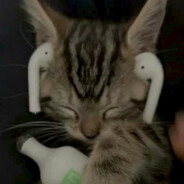 Cy