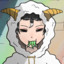 眠羊