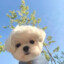 春秋