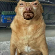 hknulky8
