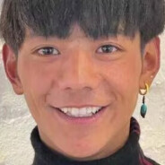 青春纯真电子丁真