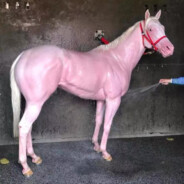 我玩奶妈就是为了多扶你几把