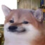 SnowyOcelot99
