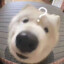 我是大摆钟