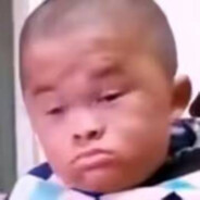 哪来的牛啊