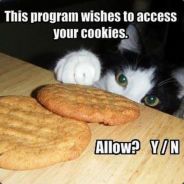KittyOnMyFootAndiWantToTouchIt