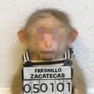 сосачка прайм